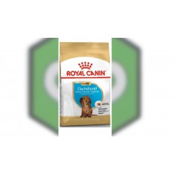 Royal Canin Breed Jazvečík Junior 1,5kg